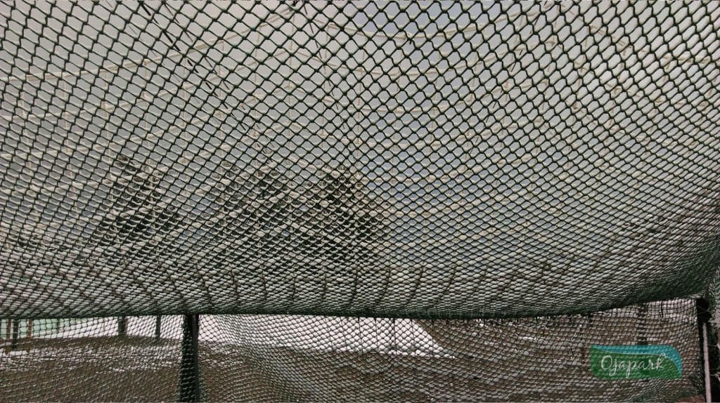 IMG-20160216-WA0000_1