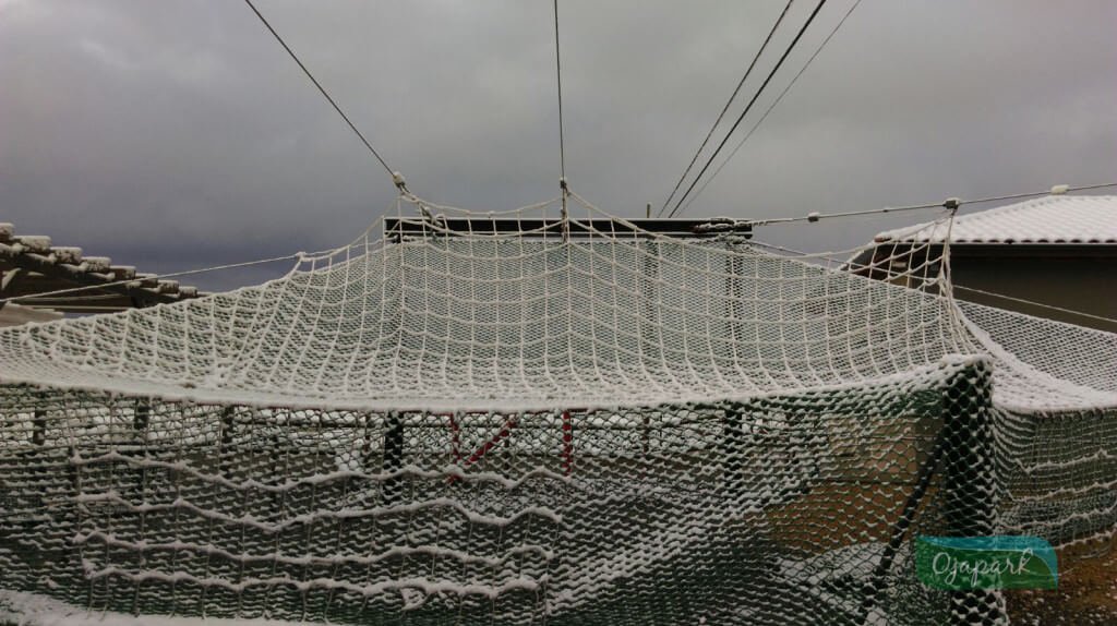 IMG-20160216-WA0000_2