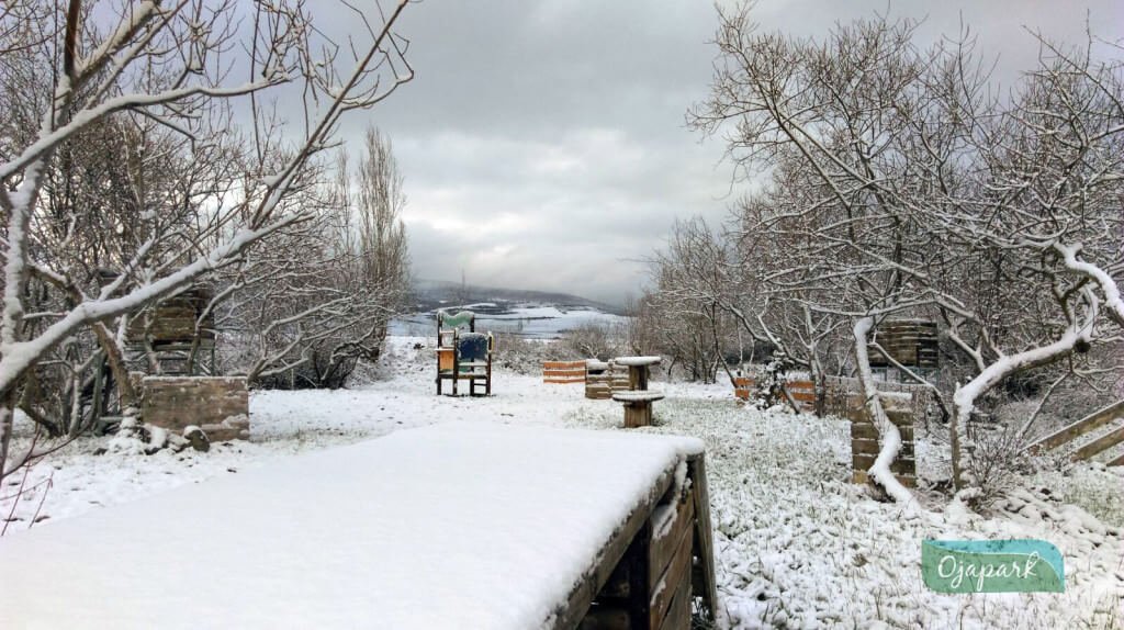 IMG-20160216-WA0000_4