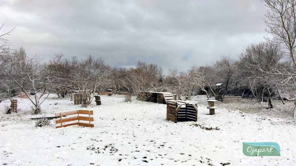 IMG-20160216-WA0000_6